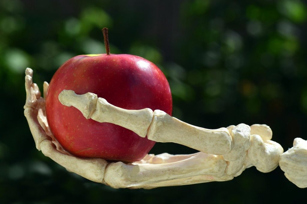 apple, hand, bone-3483512.jpg