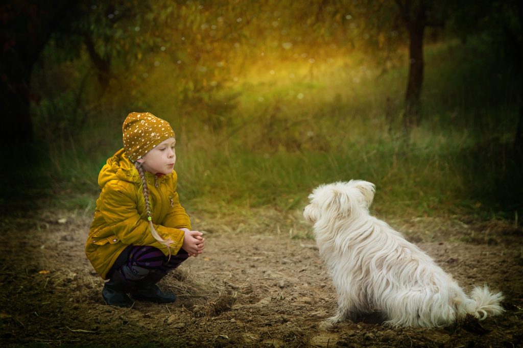 friendship, dog, together-2939535.jpg