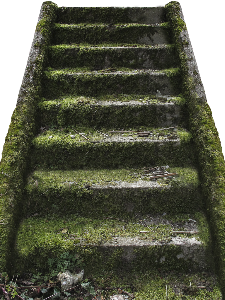 stages, stone stairway, lost places-2846250.jpg