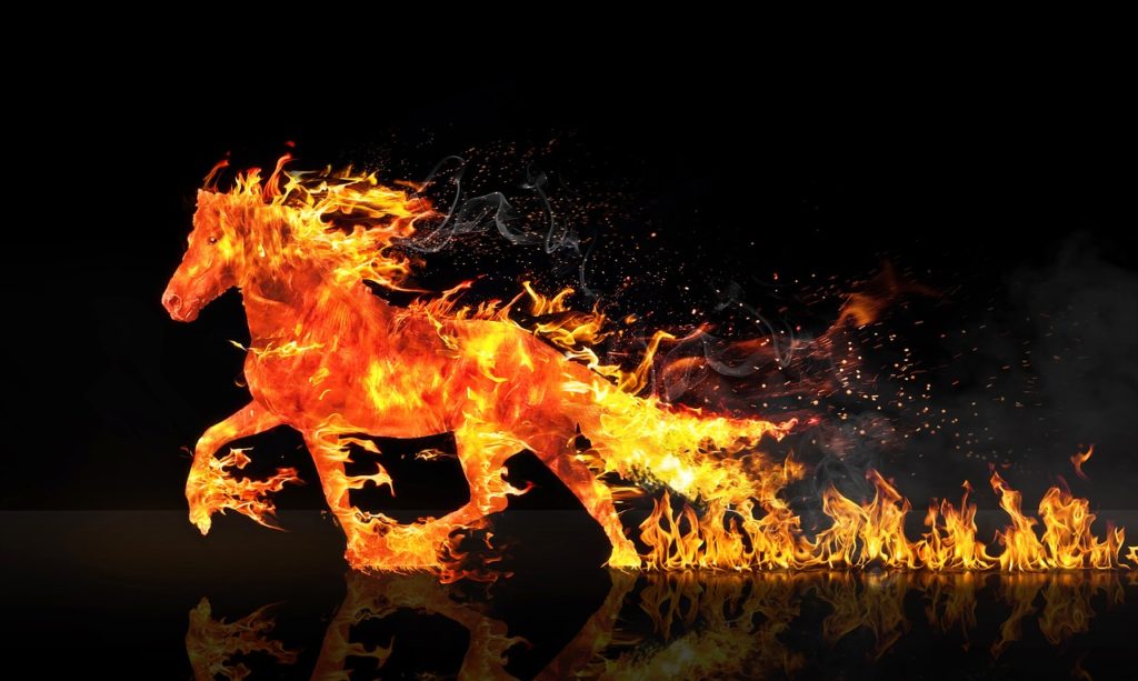 fire horse, horse running, wastage-2492947.jpg